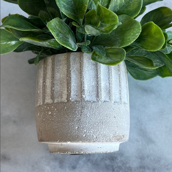 Faux Jade Plant in Stone Pot Home Decor - Picture 4 of 6